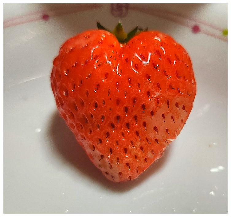 용우동 사진 5