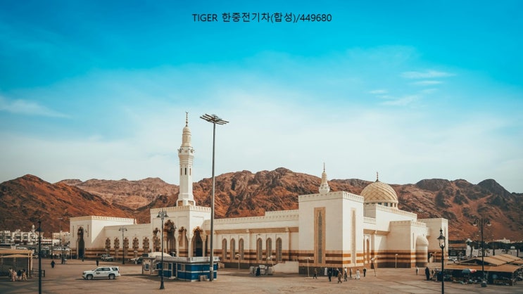  TIGER 한중전기차(합성)/449680
