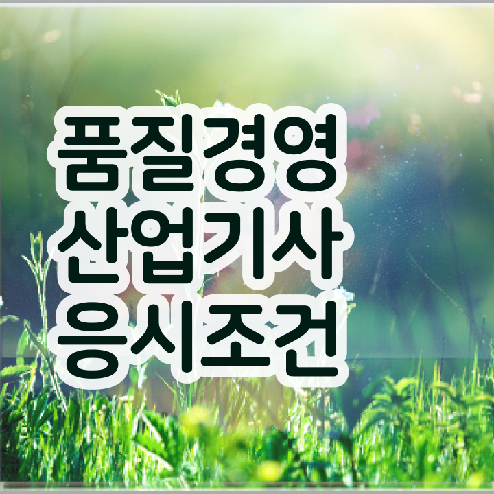 품질경영산업기사 독학 품질경영산업기사 시험자격 온라인 수업으로 4달 안에 성공한 방법
