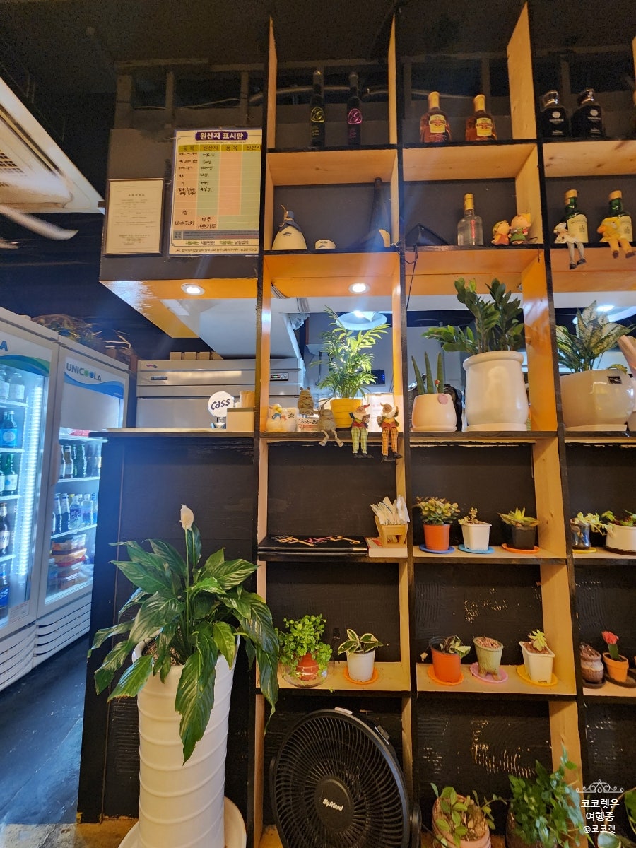 맥주당 사진 4