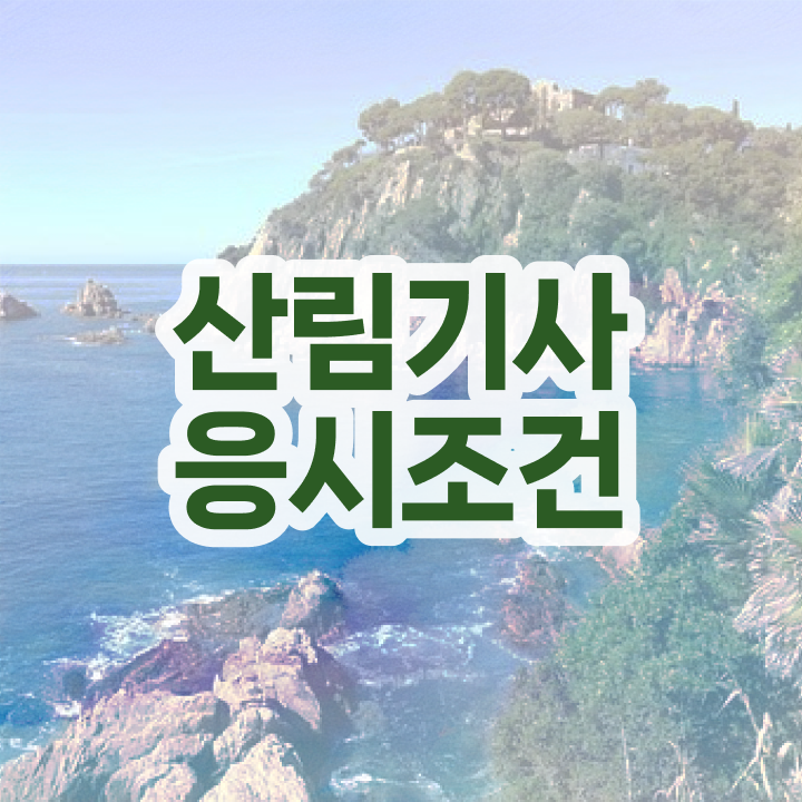  산림 기사필기 산림기사 시험자격 온라인 수업으로 4달만에 성공한 후기