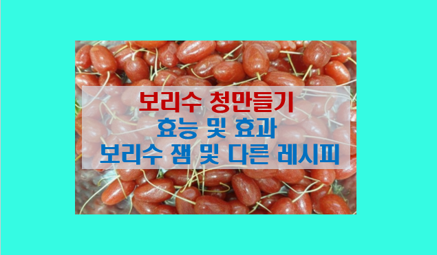  보리수청 만들기 효능 및 잼부터 다양한 만드는법 레시피 꿀팁