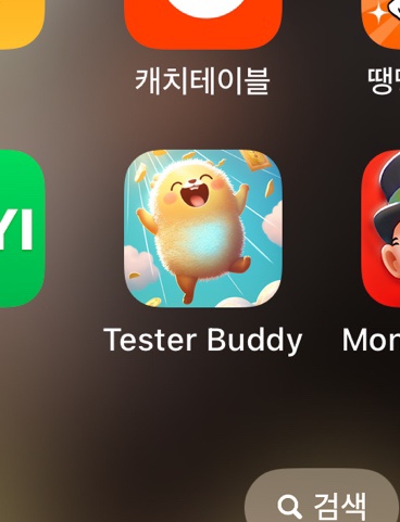  Tester buddy 테스터버디 사기? 실제 해 본 후기