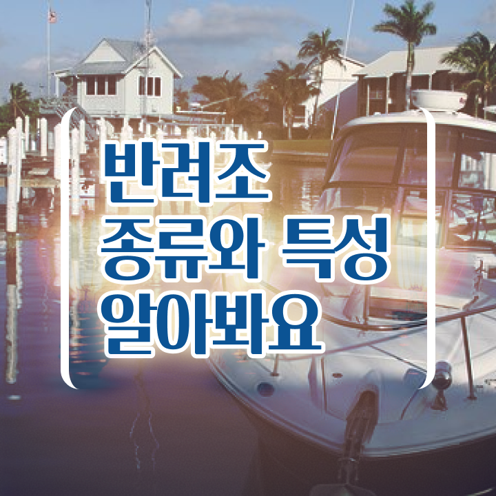  소형앵무새종류 , 반려조관리사 자격증 1달 만에 시험준비 여기만 보세요