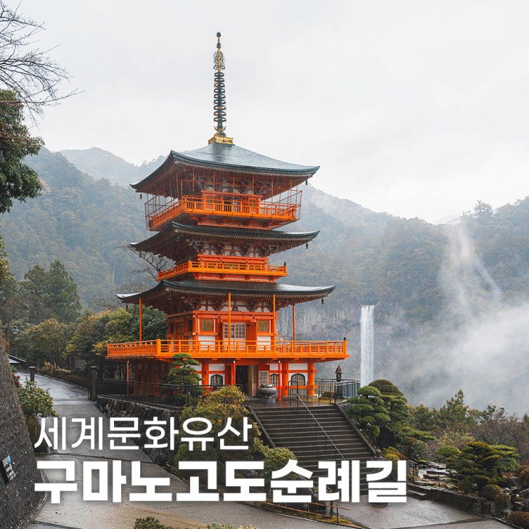  일본 소도시 여행 와카야마 세계문화유산 구마노 고도 순례길