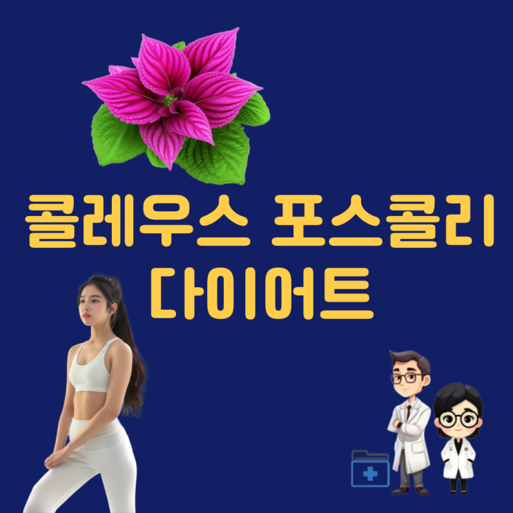  콜레우스포스콜리 효능 부작용 다이어트 포스콜린 효능