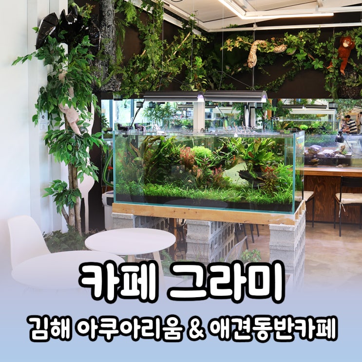  [김해] 아이와 함께 가기 좋은 수족관이 있는 아쿠아리움 카페 그라미(GRAMI)