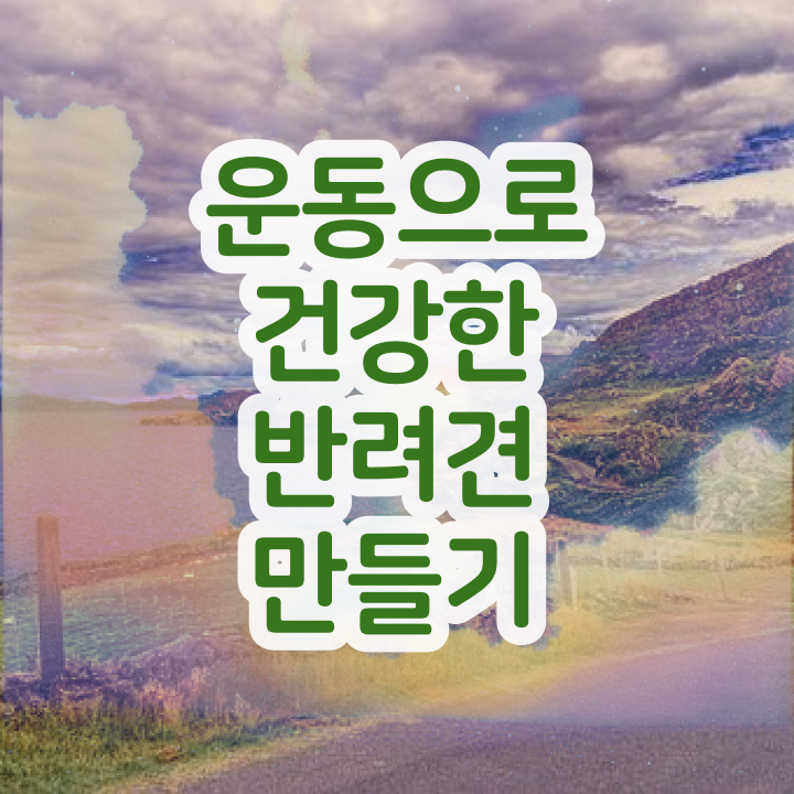  40대후반자격증 , 반려견운동지도사 인강만 듣고 독학으로 손쉽게 끝낼수 있었던 꿀팁 모음