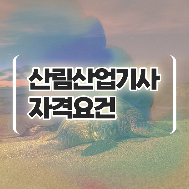  산림산업기사 학점은행제 산림산업기사 시험응시조건 집에서 온라인으로 15주만에 완료한 후기