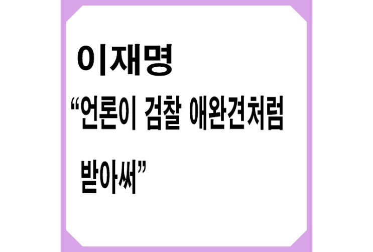 <b>이재명</b> 언론 <b>검찰 애완견</b>처럼 받아써, 정치인들의 발언 논란... 