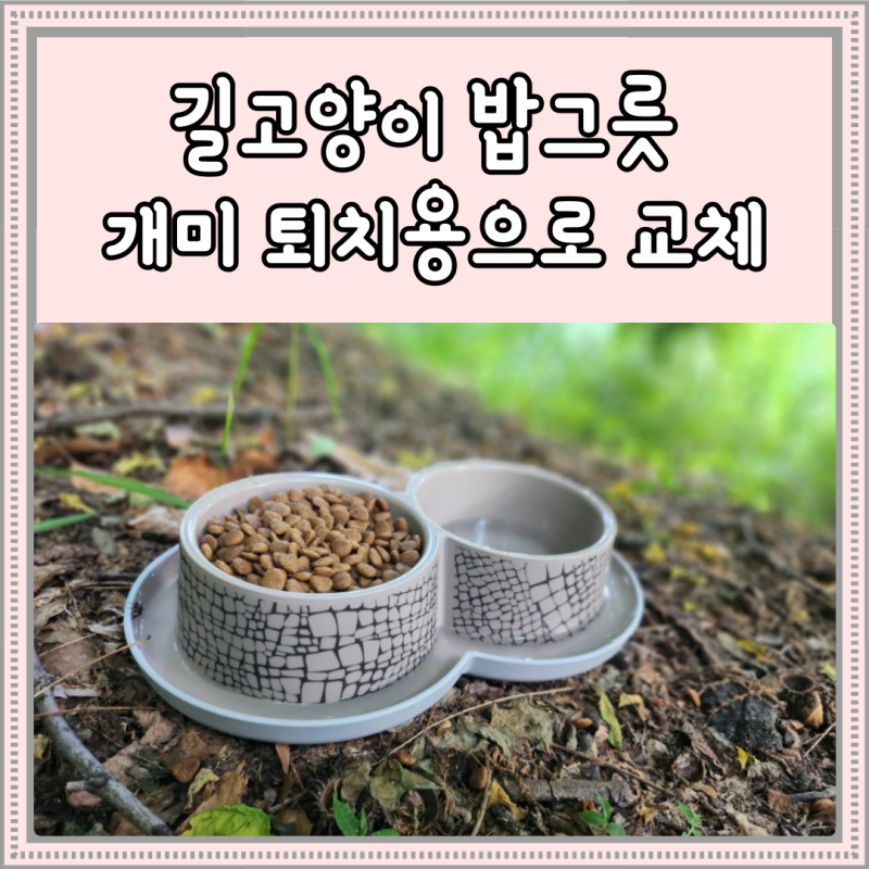 길고양이 밥그릇 개미 퇴치용으로 교체해 주었어요
