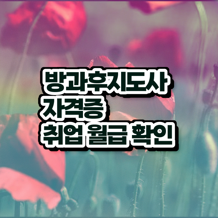  방과후컴퓨터강사 , 방과후지도사자격증 인강만 듣고 합격 후기