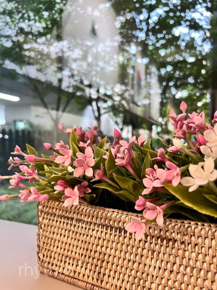  Yb 카페 갤러리 베이커리 책모임 장소 편안한 분위기 밤일 카페