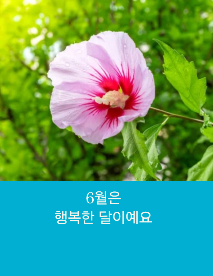  《6월은 행복한 달이예요》