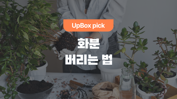  화분 버리는 법 (feat. 불연성 쓰레기 봉투 파는 곳)