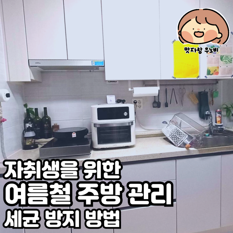  자취생을 위한 여름철 주방 관리와 세균 방지 방법