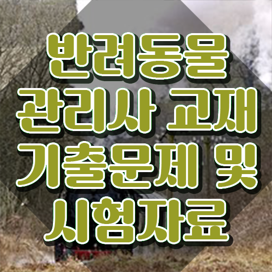  반려견운동지도사1급 , 반려동물관리사 자격증 쉽고 빠르게 취득한 정보 및 향후 전망