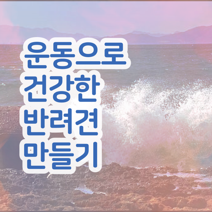  동물보건사 자격증시험 반려견운동지도사 간단하게 취득 노하우