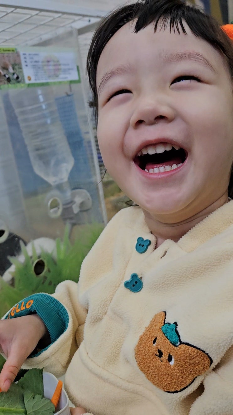  송도 핫플 실내동물원 마리앤쥬 방문후기