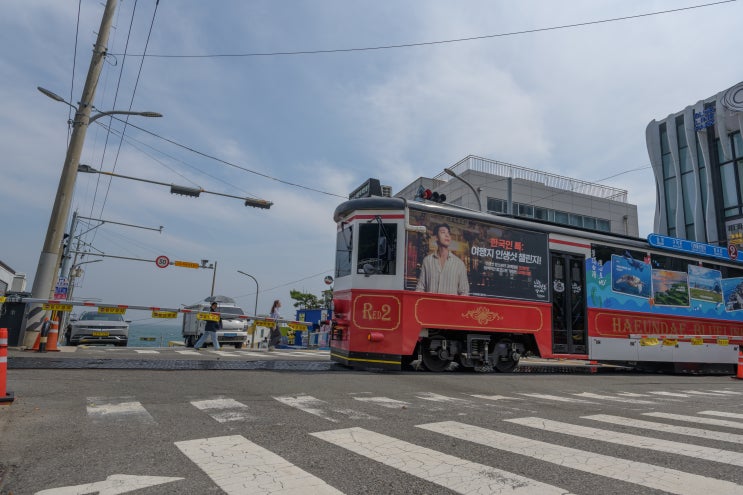  2박 3일 사진여행 4. 슬램덩크 포토존 부산 해운대 청사포 정거장 건널목