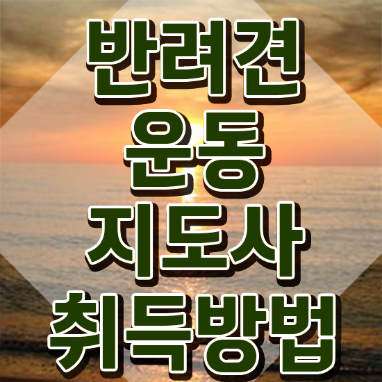  동물보건사 자격증 조건 반려견운동지도사자격증 인강으로 간편하게 취득 노하우