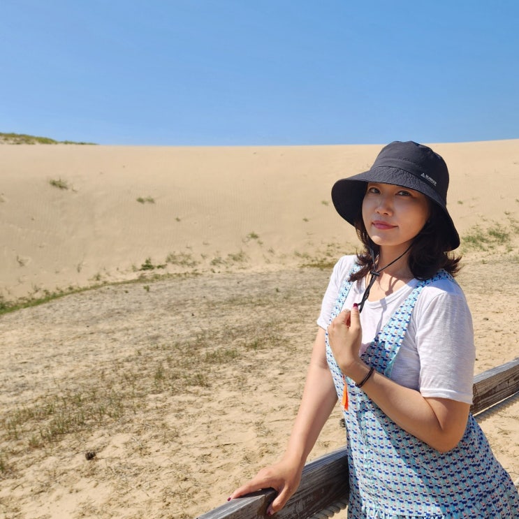  태안 신두리 해안 사구 트레킹 충남 여행 가볼만한 곳 국내 사막 모래 언덕