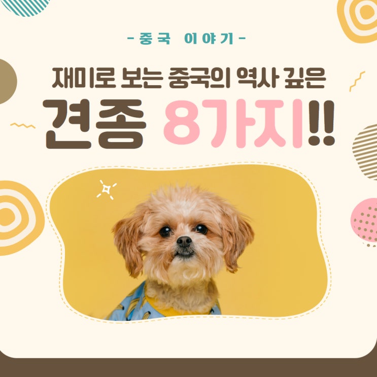  [중국 이야기] 재미로 보는 중국의 역사 깊은 견종 8가지!!