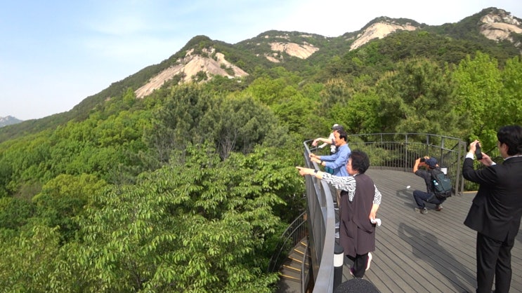  일하면서 공짜로 등산하기
