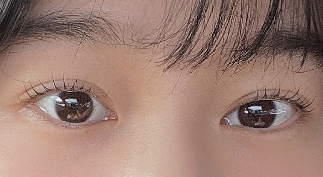  눈썹쟁이, 수원 속눈썹펌 블랙펌 시술 후기