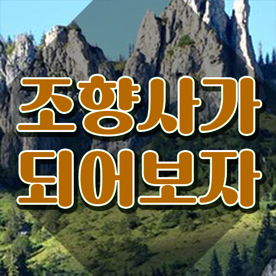  60대자격증추천 , 비전공자도 조향사 걱정하지 말아요