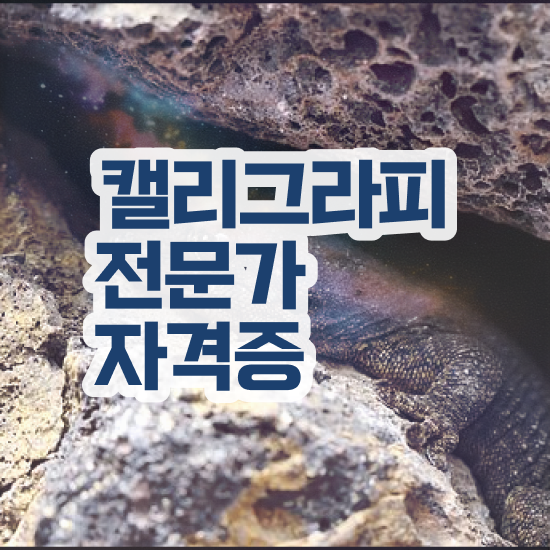  켈리그라피 문구 , 캘리그라피전문가 자격증 20일 만에 준비한 과정 , 향후 전망