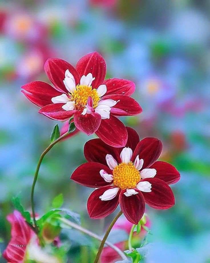   오늘의 생활정보 (2024-06-17, 월)