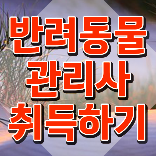  서울반려동물의료비지원 , 반려동물관리사 자격증 쉽고 빠르게 취득했던 후기 및 채용 정보