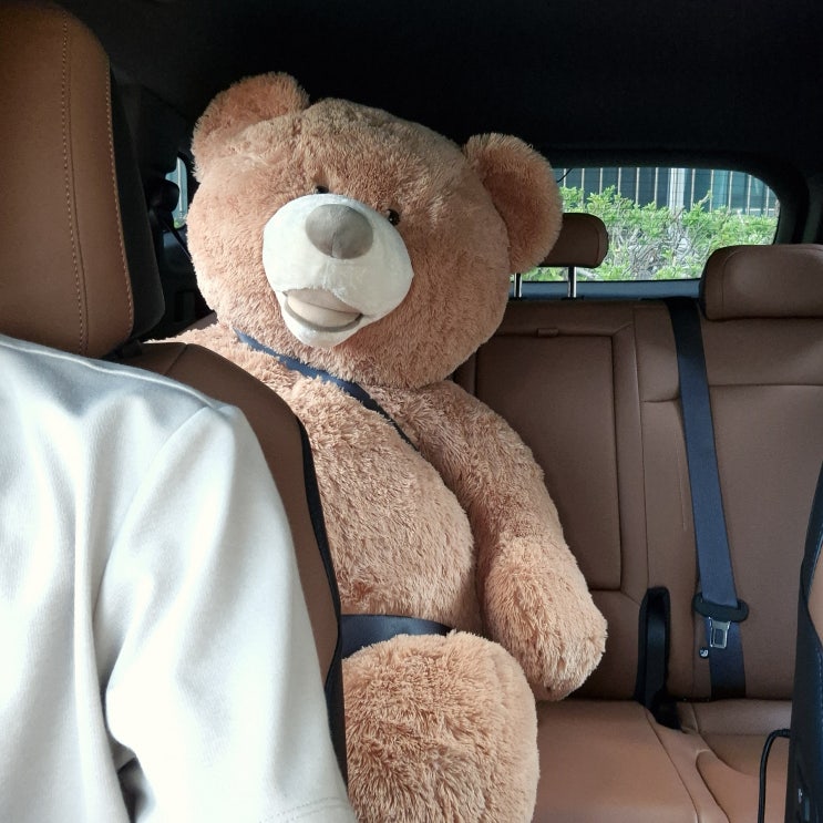  디올뉴스포티지LPI 세차~ 뒷좌석 곰식이 탑승!