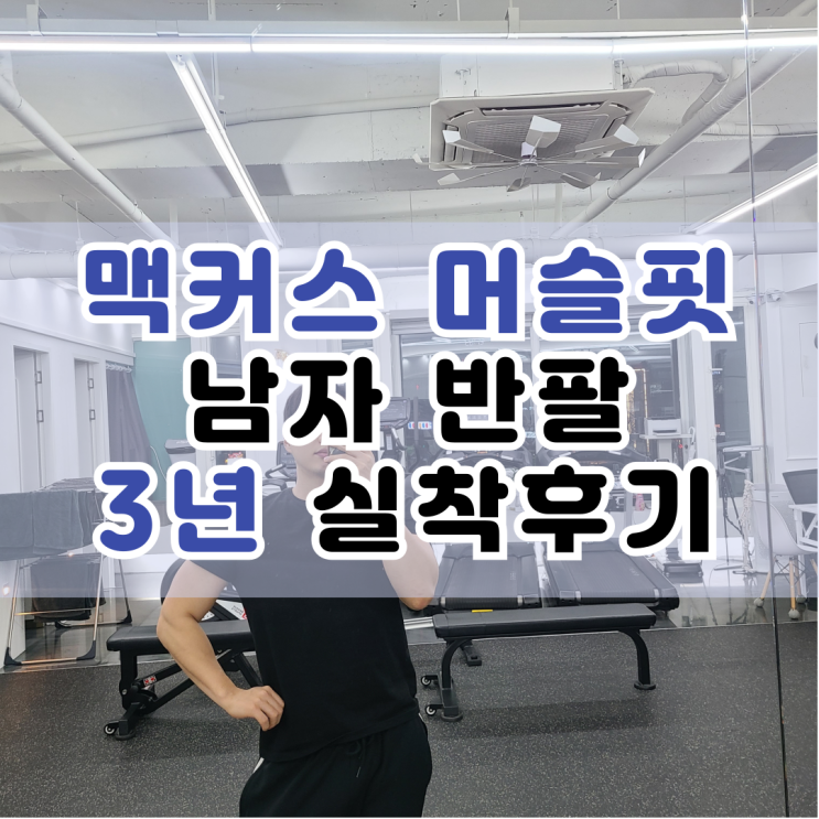  맥커스 머슬핏 프리미엄 반팔 3년 동안 입은 실착 후기