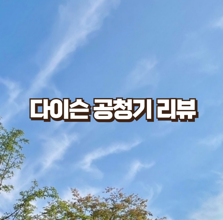 내돈 내산 다이슨 공기청정기 TP04 선풍기 소음 리뷰