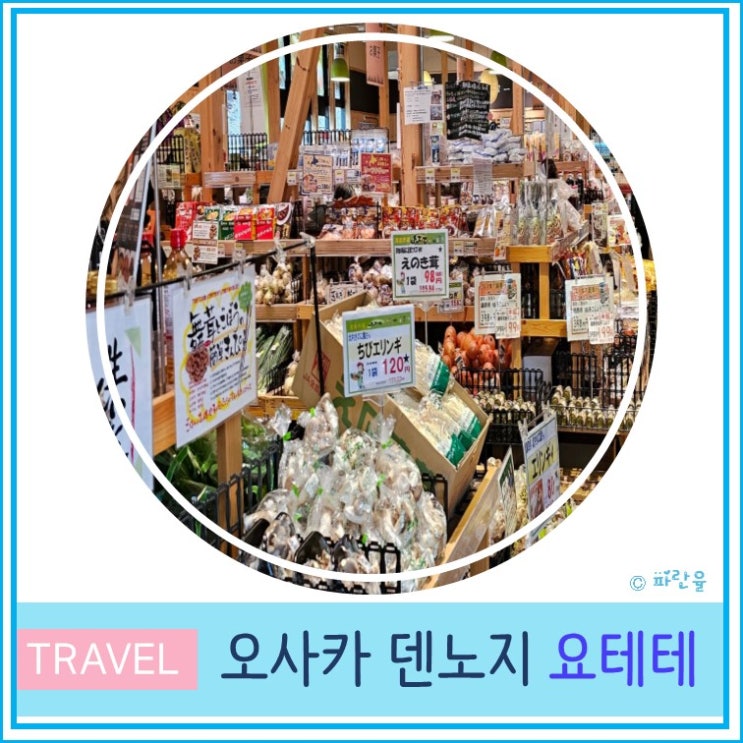  오사카 덴노지 동물원 현지인 가성비 쇼핑몰 마트 추천 요테테 Yottette