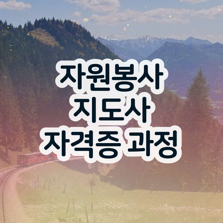  자원봉사 후기 , 자원봉사지도사 자격증 온라인으로 간단히 준비한 과정 및 구직정보