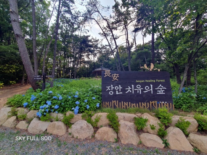 장안 치유의 숲