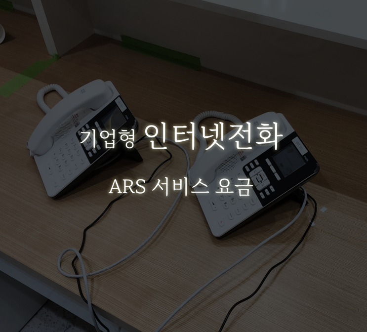  기업형 인터넷 전화 ARS 서비스 를 가장 저렴하게 설치하는 방법은? (자동응답, 서비스 기능 )