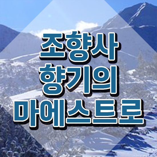  40대여성자격증 , 조향사 관련학과 졸업장, 경력없어도 인강으로 간단하게 끝냈던 꿀팁 모음