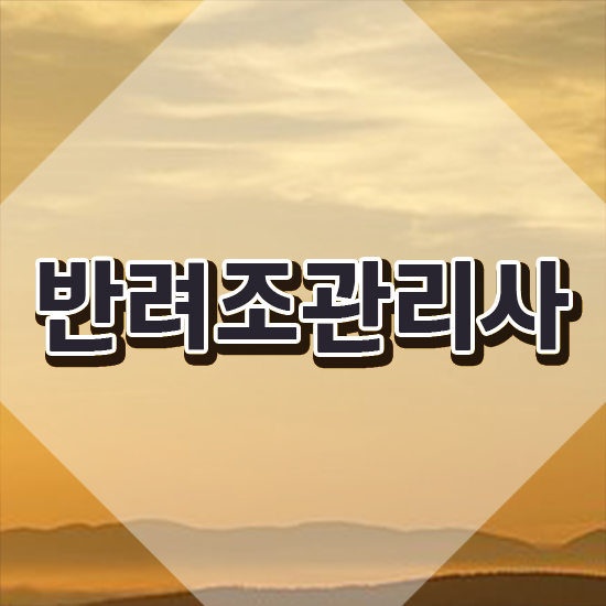  말하는 앵무새 가격 , 반려조관리사 자격증 취득한 노하우 보고가세요