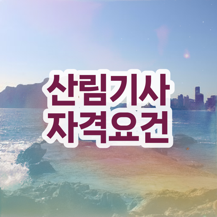  산림기사 필답형 산림기사 응시조건 독학으로 쉽고 빠르게 준비한 과정