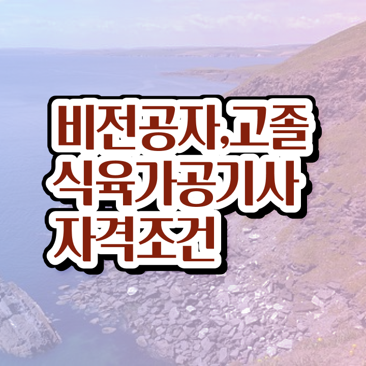  식육가공기사 응시자격 독학으로 빠르게 끝낸 팁