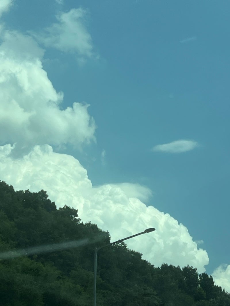 사진 7