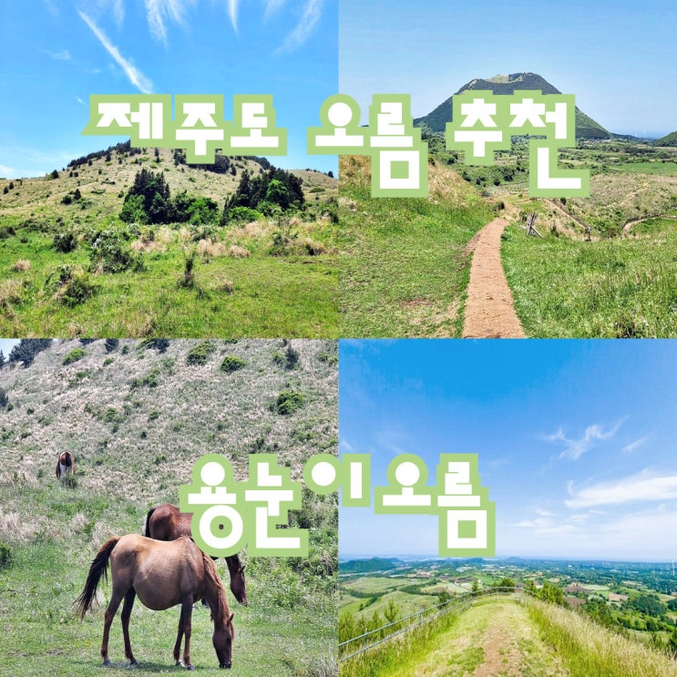  [제주도] 구좌읍 용눈이오름 풍경 추천 여행 관광 코스(feat. 섭지코지, 성산일출봉)