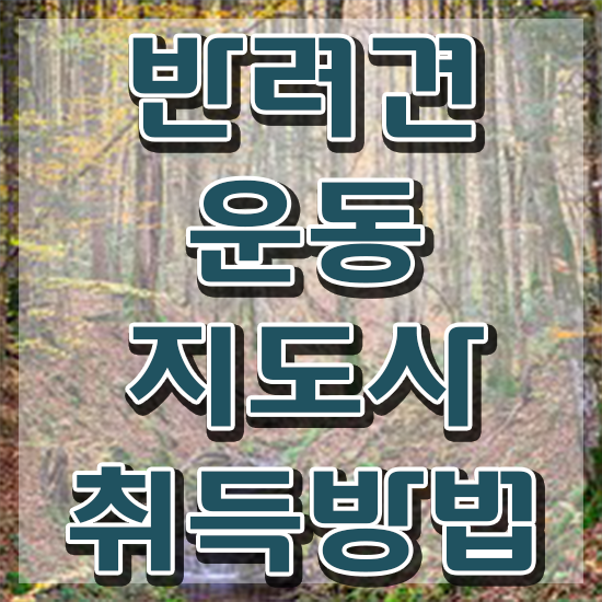  동물관련 직업 , 동영상으로 반려견운동지도사자격증 취득한 방법