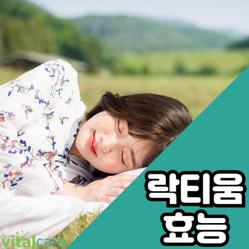 락티움 효능 부작용 수면에 도움을 주는 성분을 통해 꿀잠자요