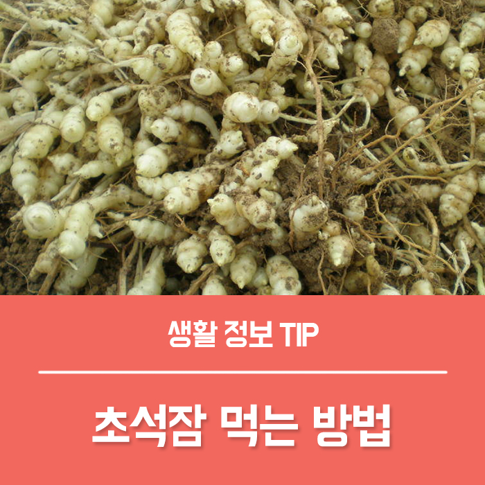  초석잠효능 BEST4, 석잠풀 초석잠 부작용 먹는방법은?