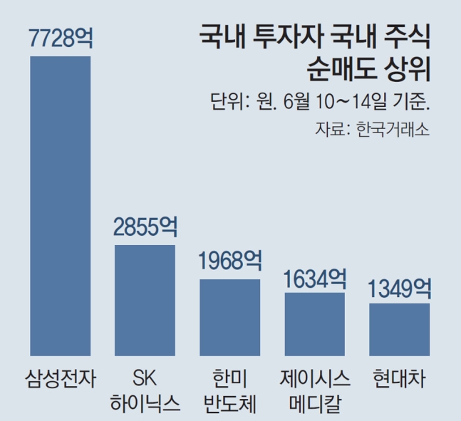 개미들, 엔비디아 4400억원 사고… 국내株 6200억 팔아치웠다 개미들, 엔비디아 4400억원 사고… 국내株 6200억 팔아치웠다